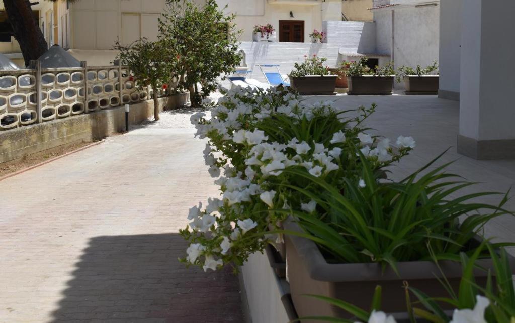 B&B Lastracu Castellammare del Golfo Dış mekan fotoğraf